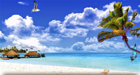 Lato Plaża Morze Wakacje Tropiki Fajne Widoki Palmy Malediwy