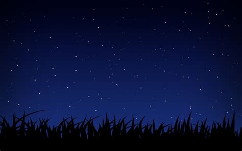 Starry Night Wallpaper 64 Pictures