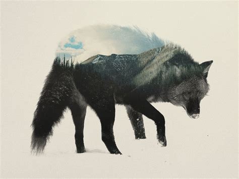 Double Exposure Portraits Of Animals Reflecting Their Habitat