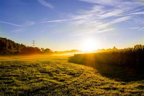 Free Images Landscape Tree Nature Forest Grass Horizon Mountain