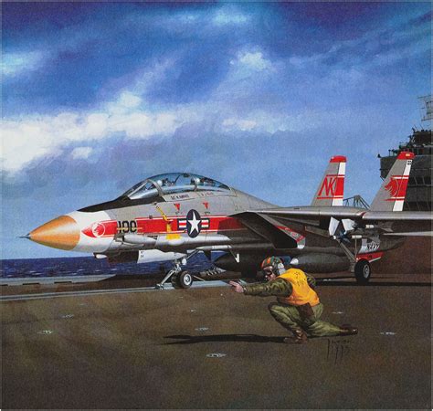 Grumman F 14a Tomcat Vf 1 Wolfpack Jarosław Wróbel Aerei Free