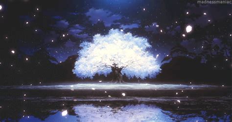 Гиф анимация Цветущая сакура под падающими лепестками ночью