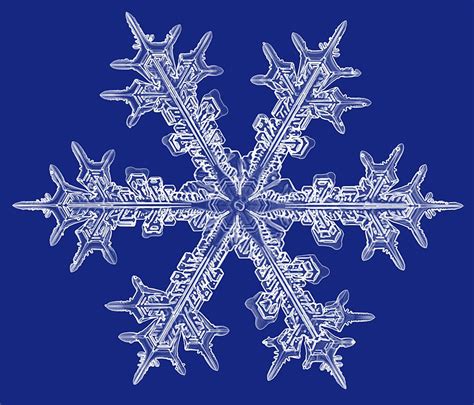 Magnified Snowflake Magnified Images Snowflake Photography