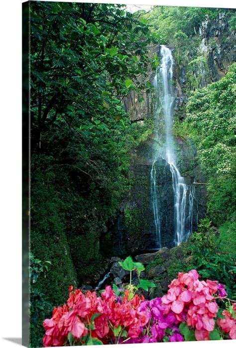 Hawaii Maui Wailua Waterfall And Rainforest Wall Art Canvas Prints