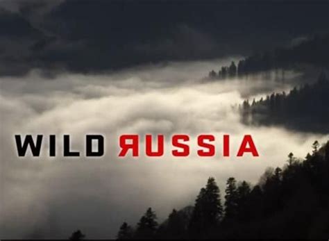 Wild Russia Tv Show Air Dates And Track Episodes Next Episode