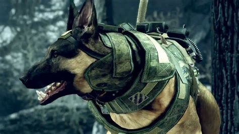 Call Of Duty Ghosts Glitch Guard Dog Gets Stuck Youtube