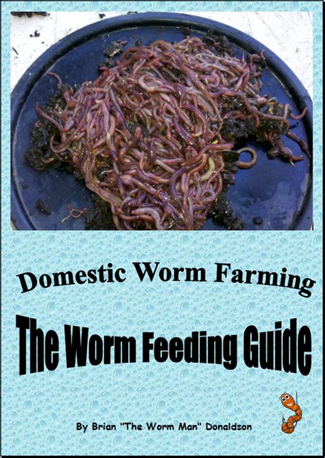 Worm Farm Instructions The Worm Man Blog Worms For Worm Farms