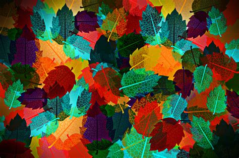 Free Photo Colorful Autumn Leaves Pattern Abstract Plant Seamlessly Free Download Jooinn