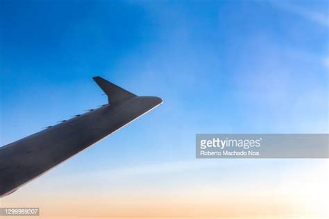 Sharklet Photos And Premium High Res Pictures Getty Images