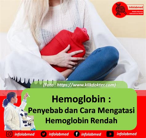 Mematikan Ini Penyebab Dan Cara Meningkatkan Kadar Hemoglobin Rendah
