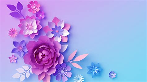 Pink Purple Blue Flowers Petals In Light Purple Blue Background Hd Blue