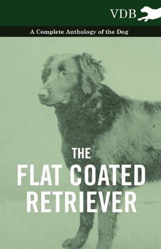 Amazon The Flat Coated Retriever A Complete Anthology Of The Dog