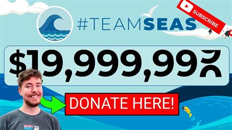 Teamseas Live Count Donate To Save Ocean Mrbeast Youtube