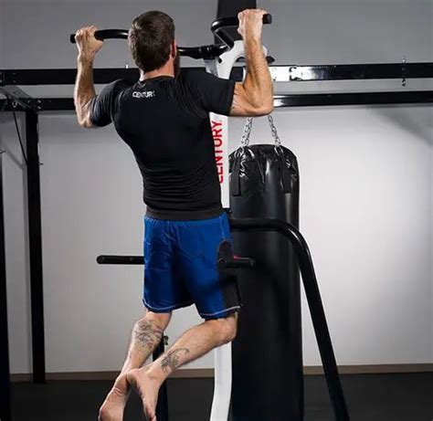 Best Punching Bag Stands With Pull Up Bar Smartmma