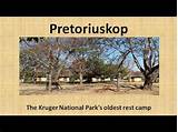 Images of Kruger Park South Africa
