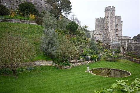 Beautiful Shot Of Green Lawn And Different Plants In Windsor Castle
