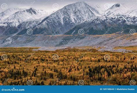 Snow Capped Mountain Range In Alaska With The Forest Below Stock Photo
