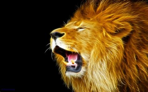 Lion Roar Wallpapers Wallpaper Cave