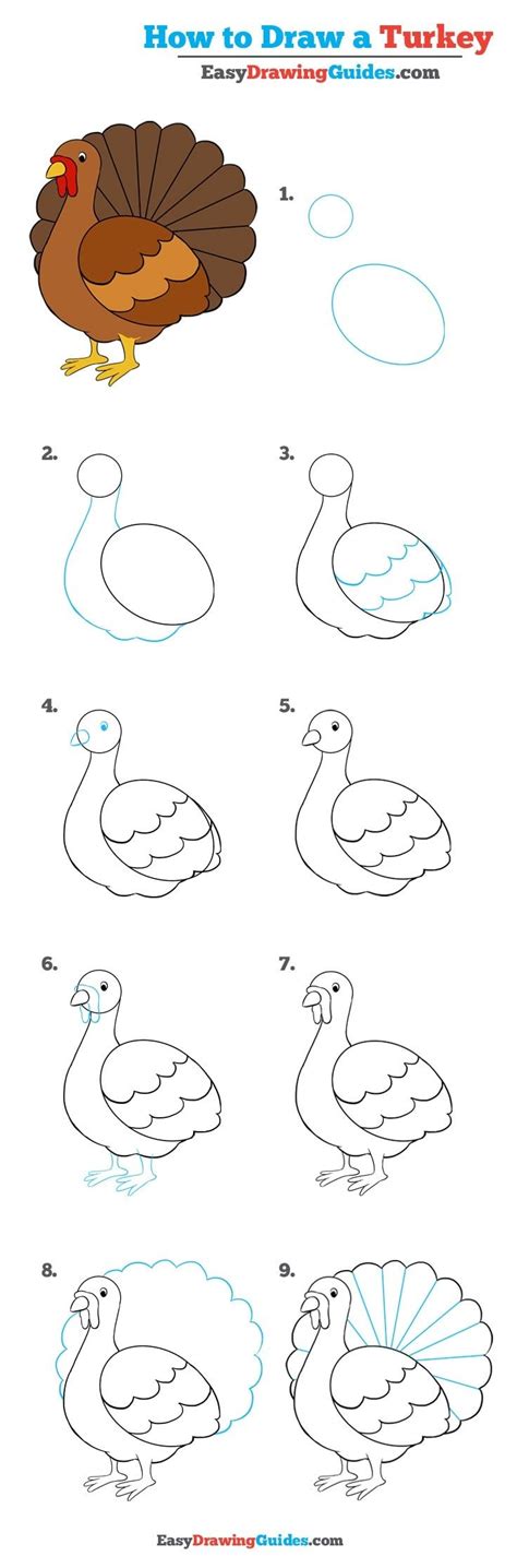 How To Draw A Turkey Easy Step By Step For Beginners Iridescent Color