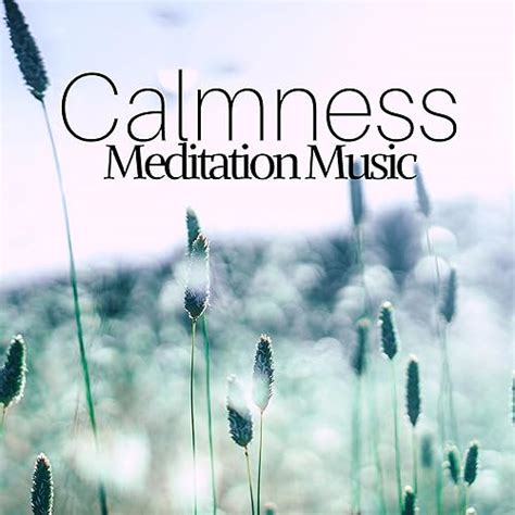 Calmness Meditation Music Tranquility And Harmony Zen Oasis Relaxing