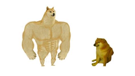 Meme Do Cachorro Forte E Fraco Shiba Inu Gilgamesh Anime Meme