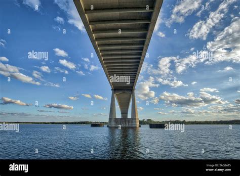 Dames Point Bridge Jumper