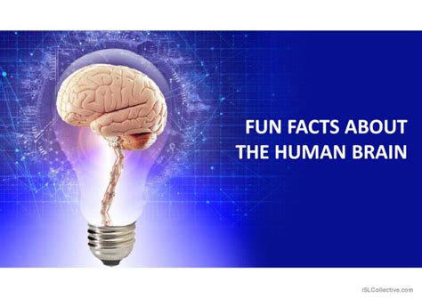 Fun Facts About The Brain Discussion English Esl Powerpoints