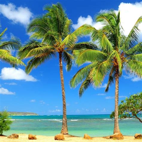 10 Latest Free Caribbean Beach Wallpaper Full Hd 1080p For Pc Desktop 2020