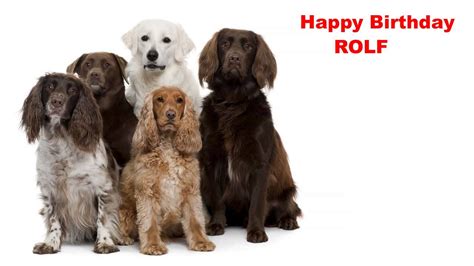 Rolf Dogs Perros Happy Birthday Youtube