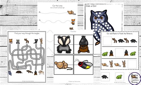 Nocturnal Animals Printable Pack Simple Living Creative Learning