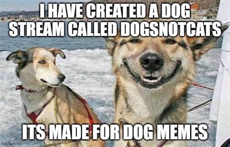 Original Stoner Dog Meme Imgflip