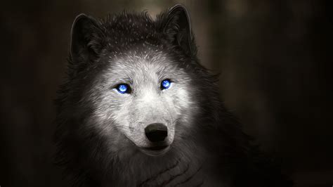 This hd wallpaper is about wolf, fantasy art, moon, animals, night, red, sky, mammal, animal themes. Wolf with Blue Eyes Wallpapers | HD Wallpapers