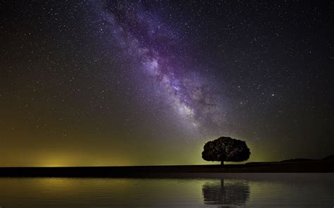 Download Wallpaper 1440x900 Starry Sky Milky Way Tree Horizon Coast
