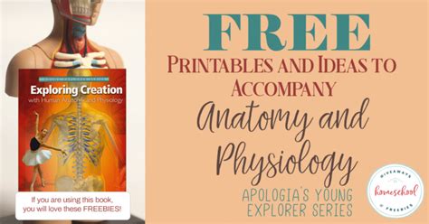 Tons Of Free Printables For Apologias Elementary Anatomy Book