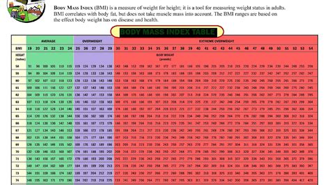 For children there are other bmi values than for adults. Body Mass Index Chart For Women Age - Index Choices