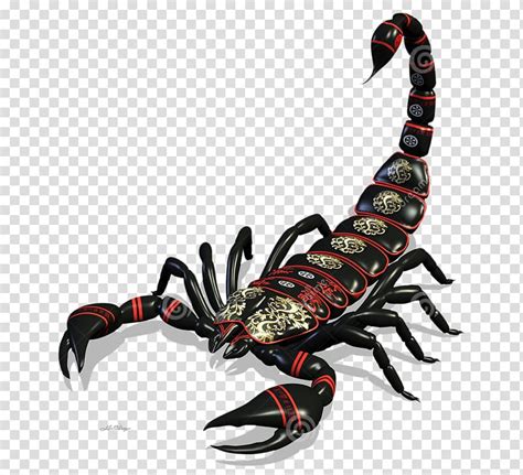 Scorpion Drawing Scorpion Transparent Background PNG Clipart HiClipart