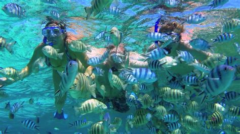 Snorkeling In Bora Bora Youtube