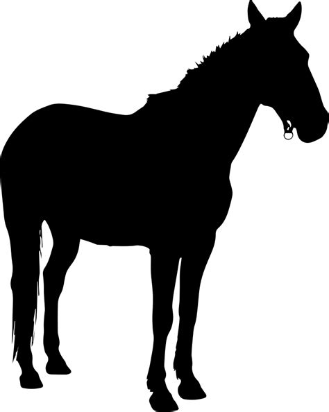 Horse Standing Black Silhouette Facing Right Svg Png Icon Free Download