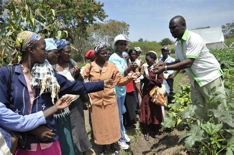 Teaching Women Biointensive Agriculture The Borgen Project