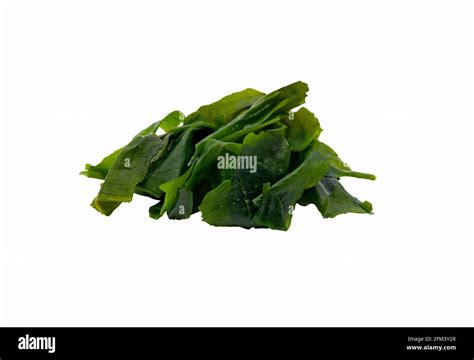 Seaweeds In Grass Cut Out Stock Images Pictures Alamy