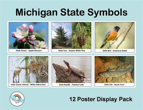 12 Michigan State Symbols Posters State Symbols Michigan State Michigan