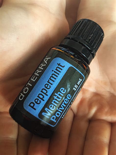 Top Uses Of Peppermint Essential Oil Momma On The Movemomma On The