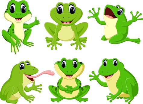 The Collection Of The Pretty Green Frogs In The Different Posing