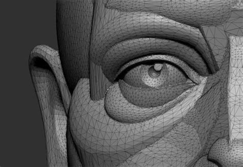 Planar Simplified Male Head 3d Print Model Anatomy Sculpture