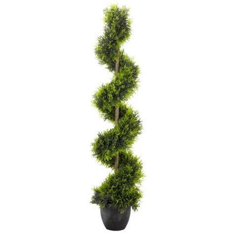 Cypress Topiary Twirl Seacoast Garden Centre Limavady