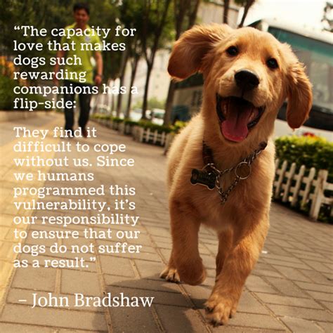 Dog Quotes — We Rounded Up The Best Of The Best