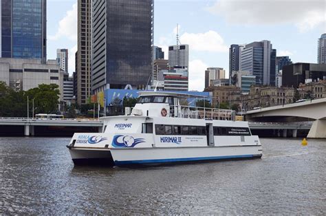 Brisbane River Cruise And Koala Sanctuary Visit Travel