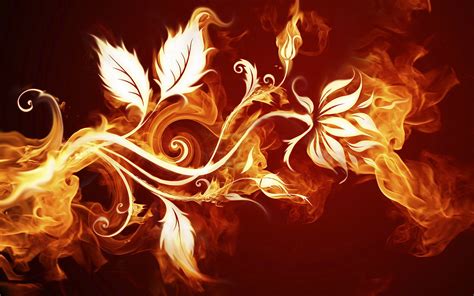 Flaming Flower Full Hd Wallpaper And Background Image 1920x1200 Id