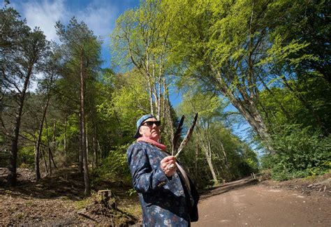 Concern Over Trees Being Removed From The Side Of Loch Ness