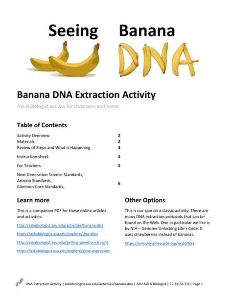 Ask A Biologist Banana Dna Extraction